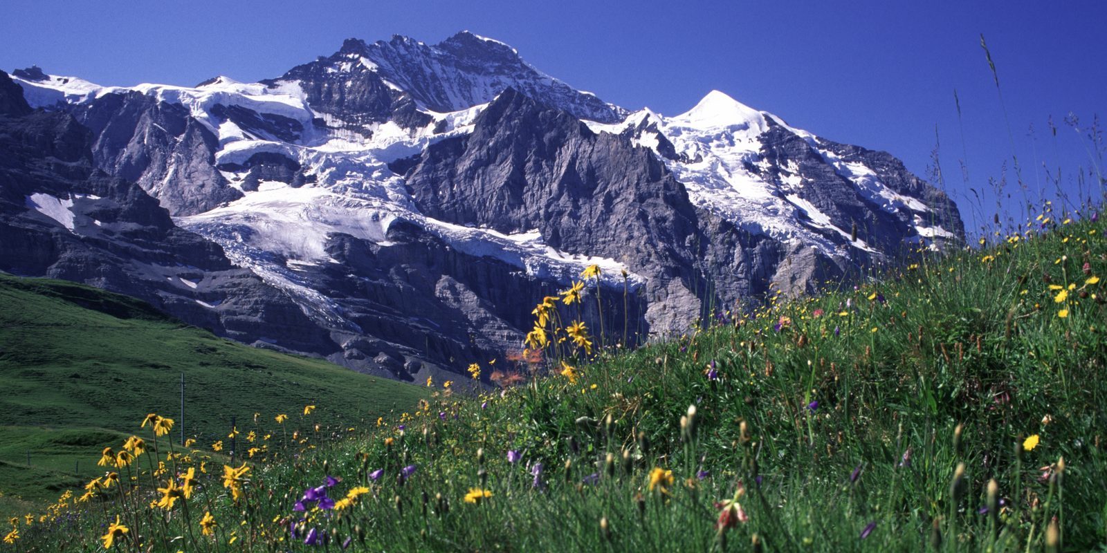 Jungfrau